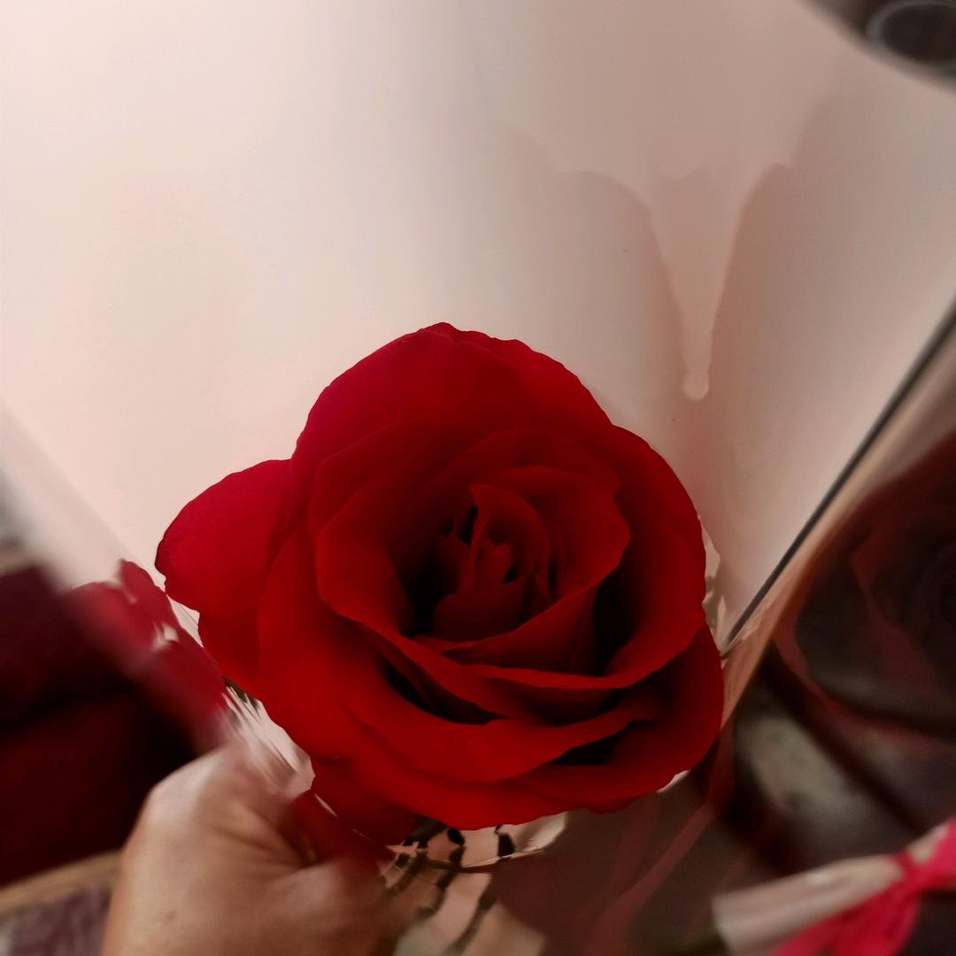 好好生活，知足常乐