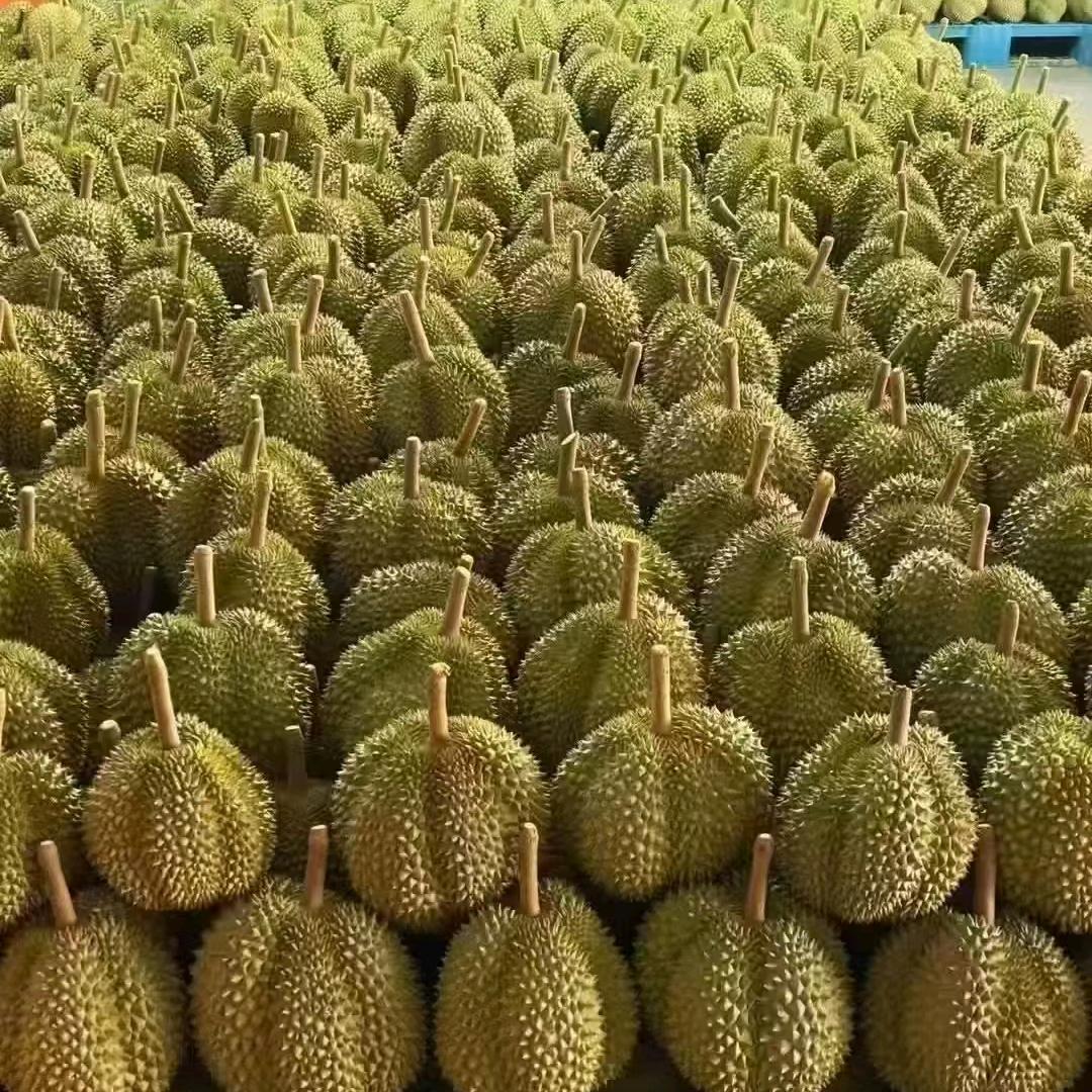 卖榴莲山竹的小李