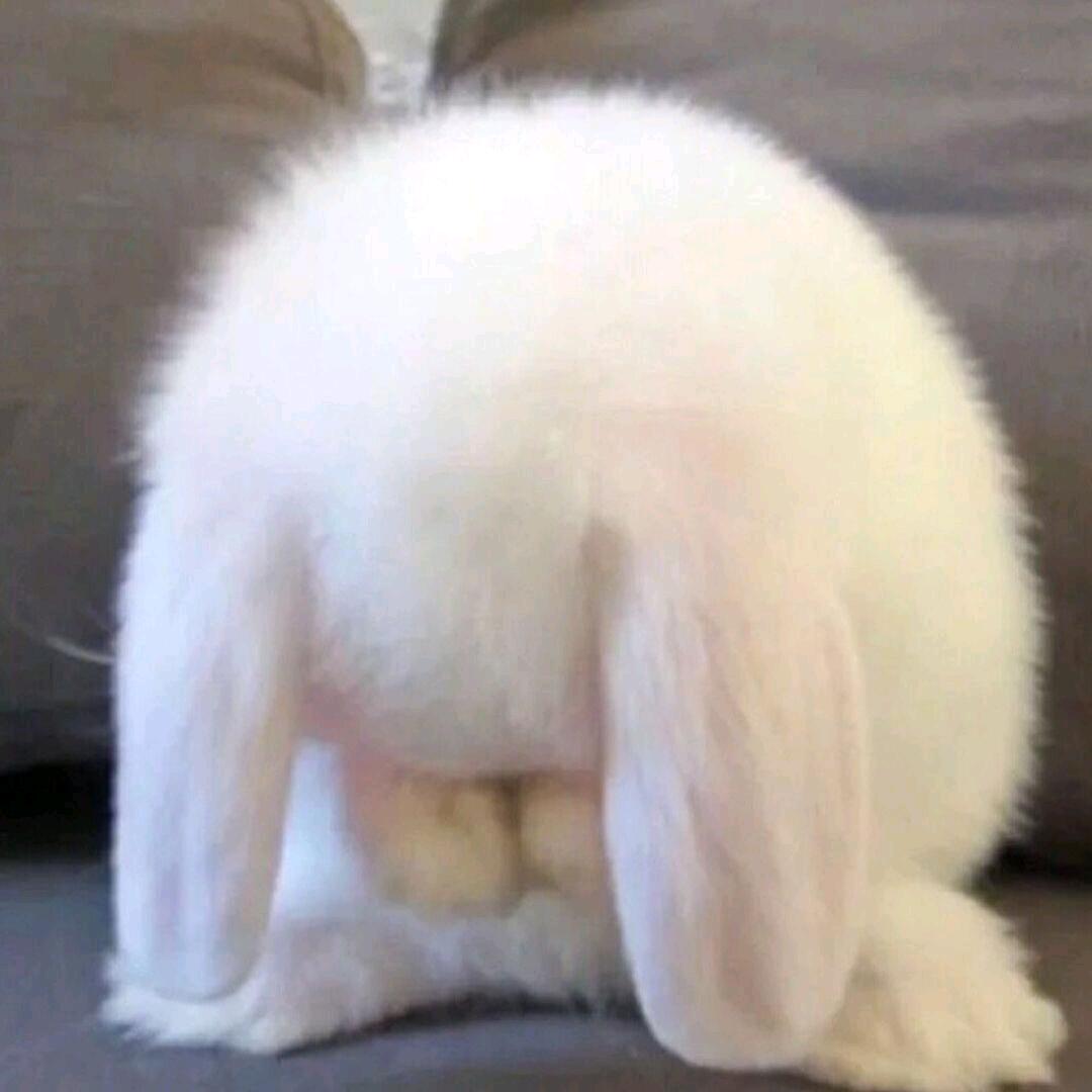蝉翼暖
