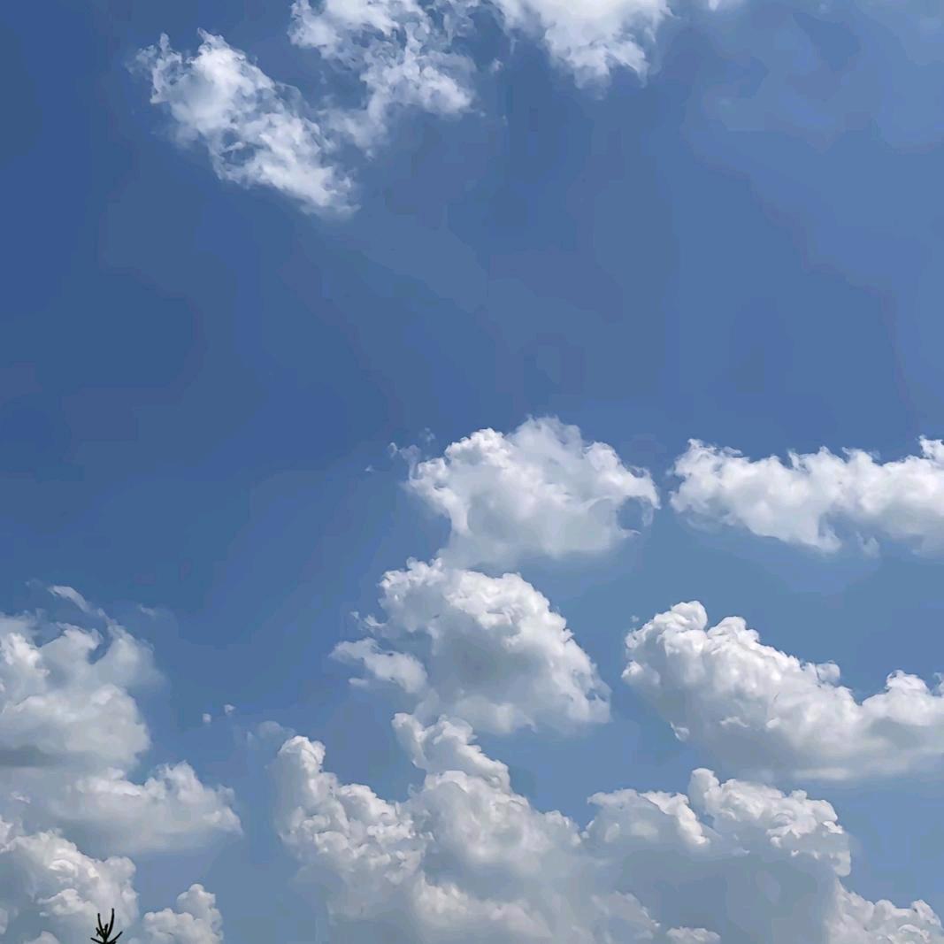 辻弎