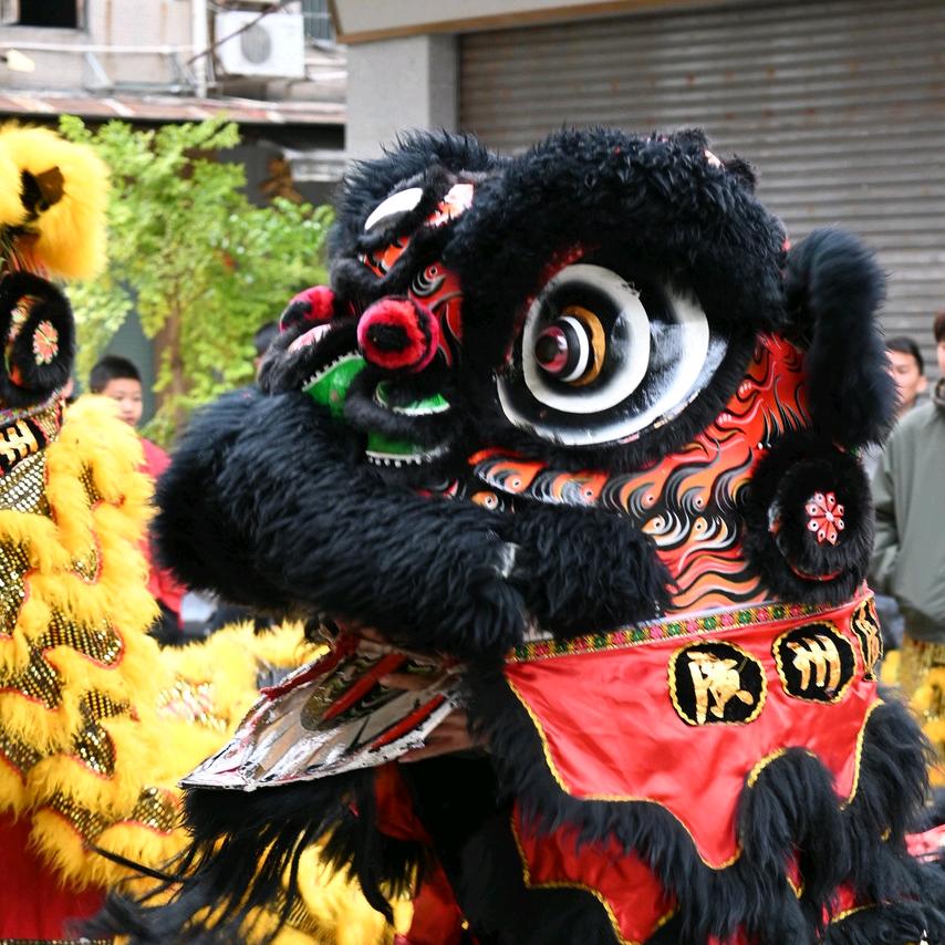 龍獅銳仔🦁