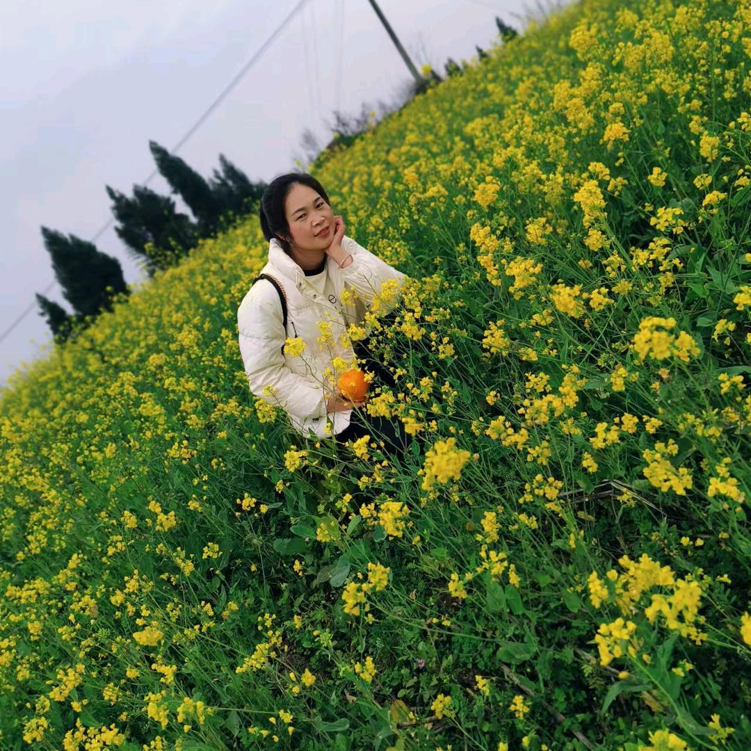 好房优选小牛信息咨询