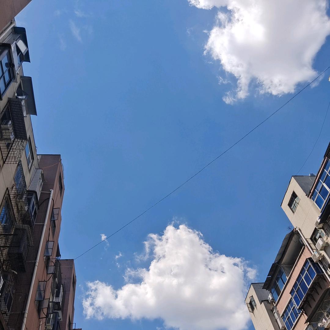 苒苒物华林