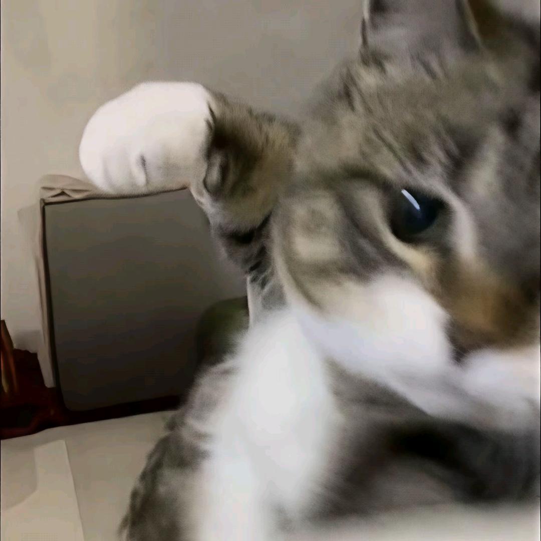 Bro