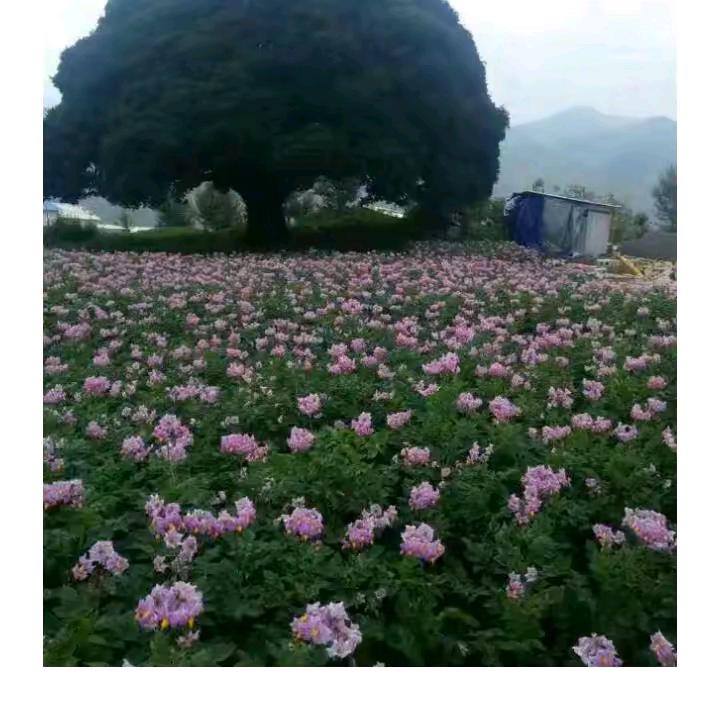 生活太难