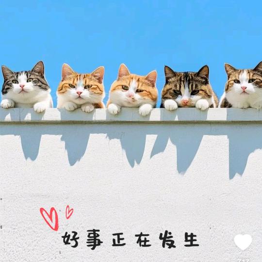 小张选好物
