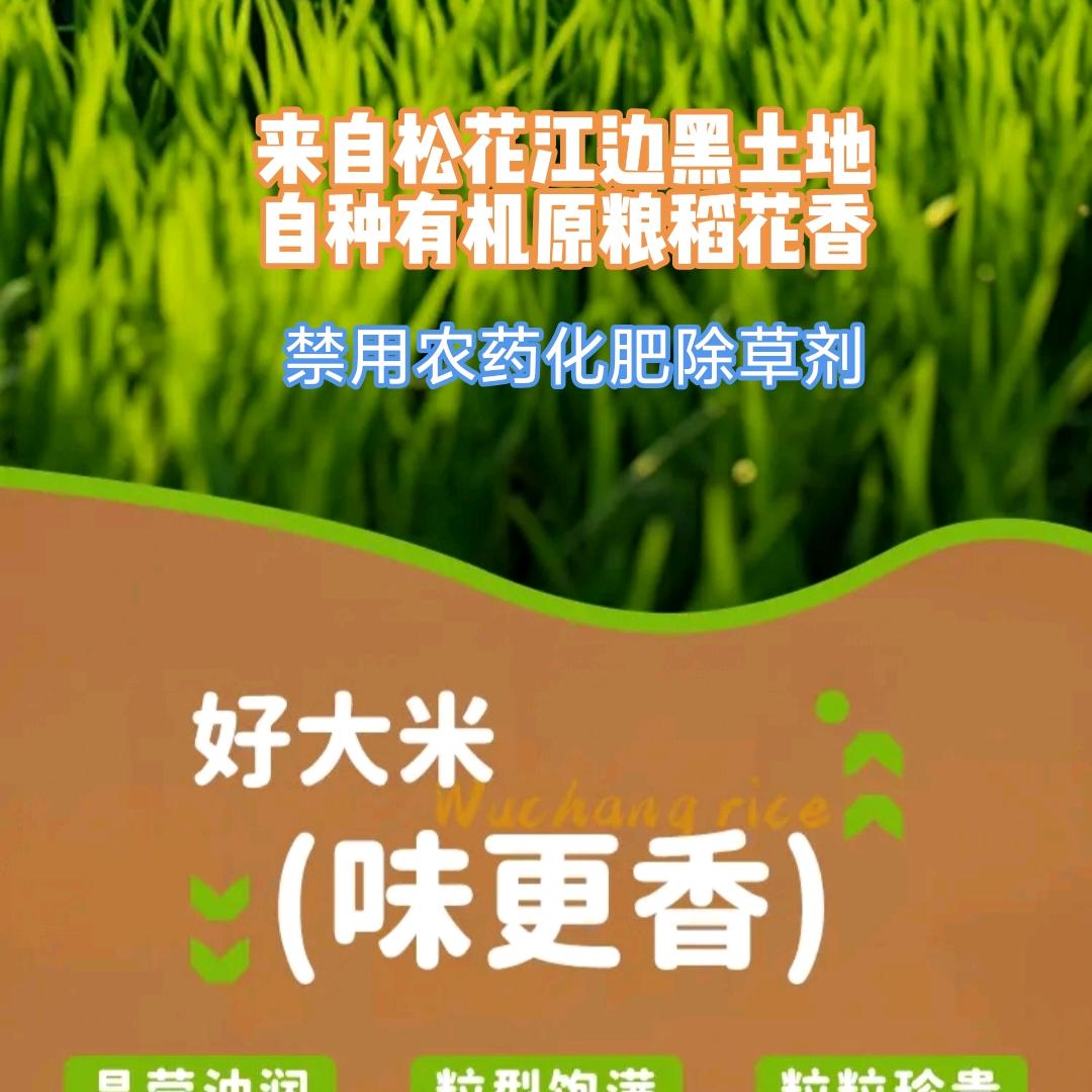 黑龙江自种有机大米