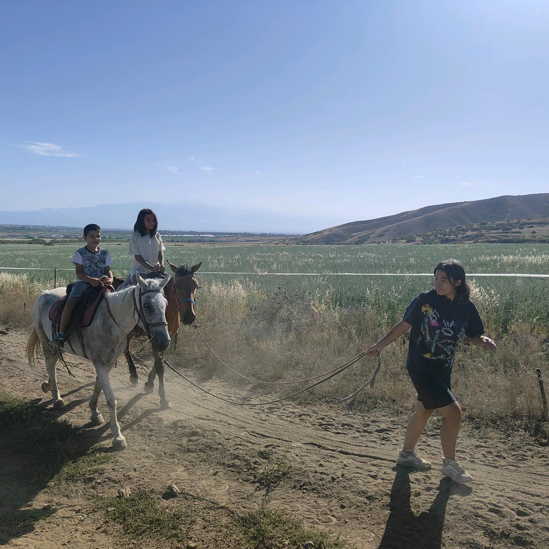 创业路上 (小号)