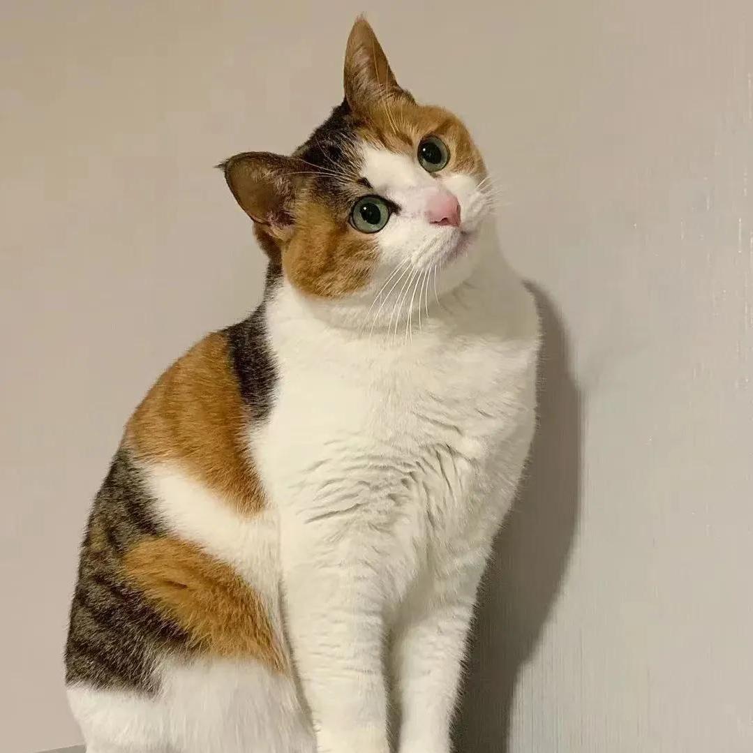 重生之我在箬横摆地摊