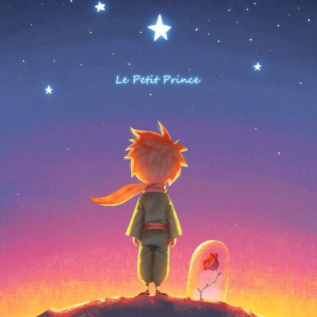 小王子的外贸笔记