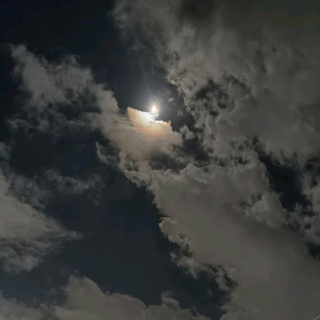 话不投机半句也嫌多