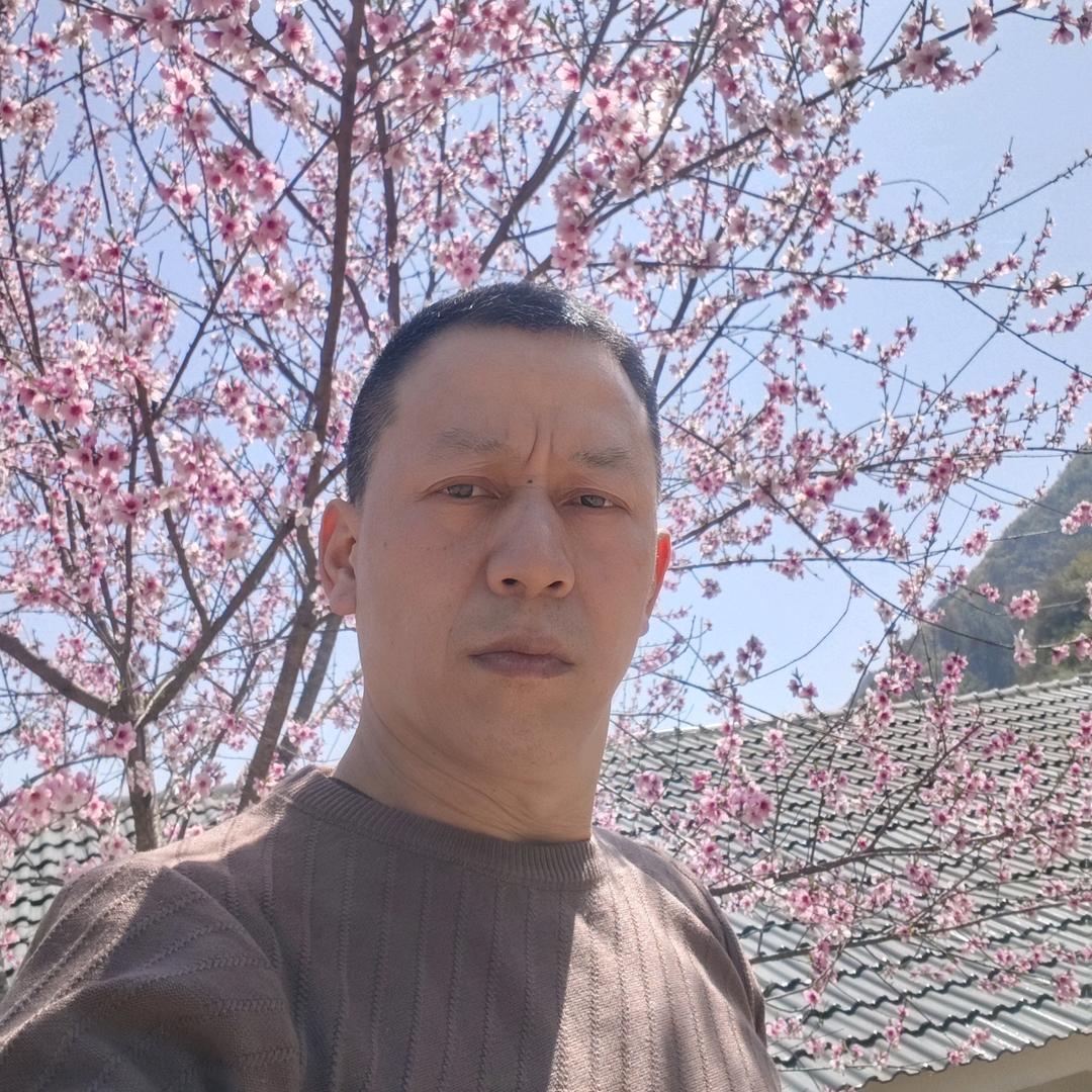 龙行天下
