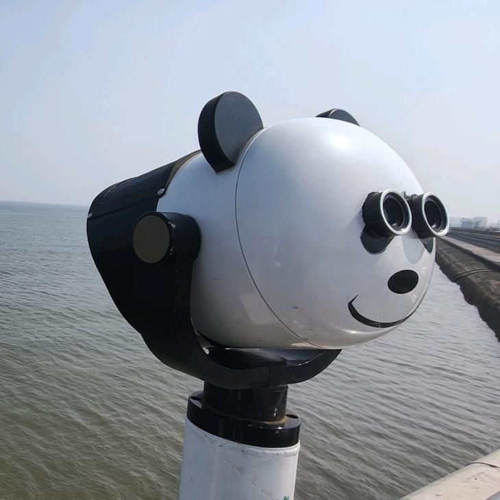 毛小东