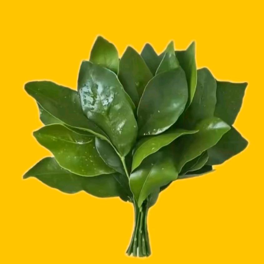 天一直晴.