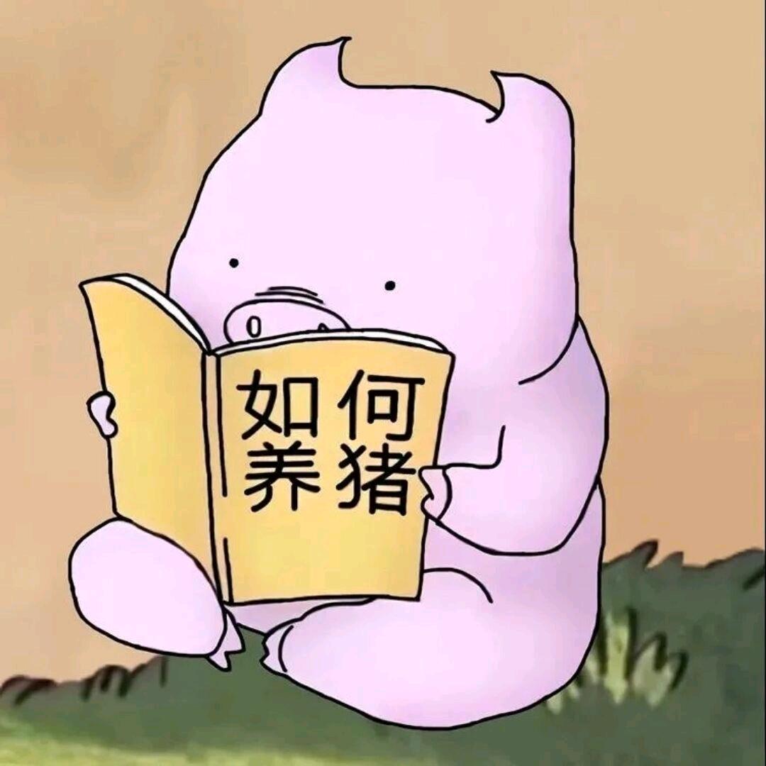 骑着小猪环游世界