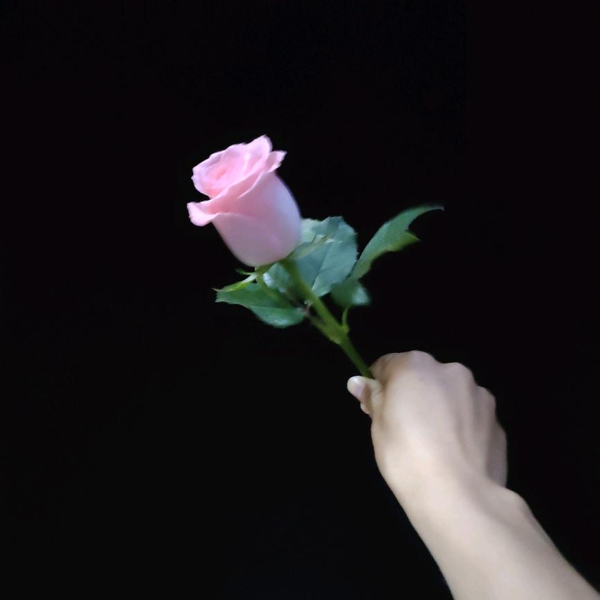 💗᭄ᝰᩚ㞮孞ꦿ໌