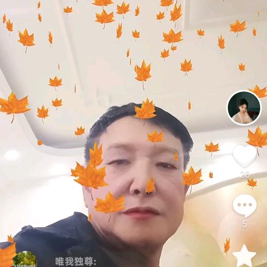 马安国