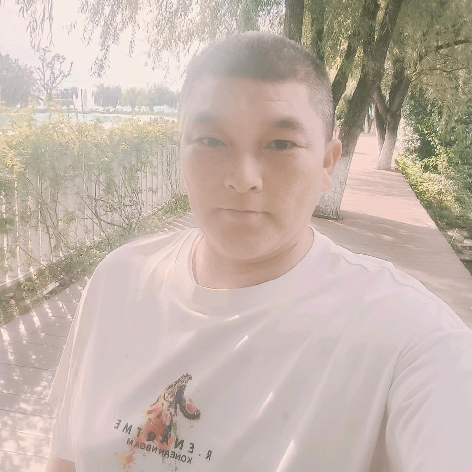 孤独的狼