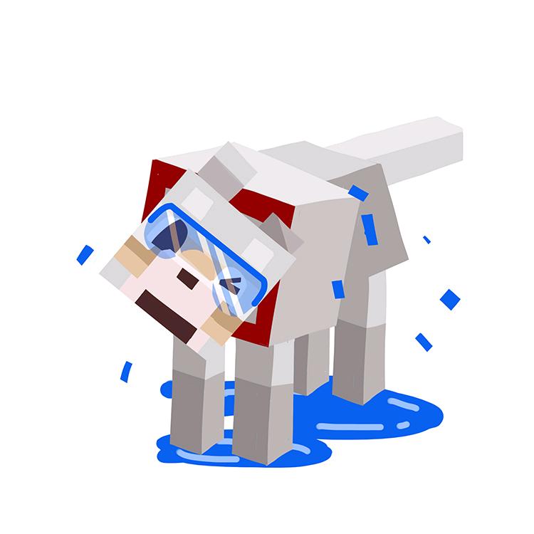 溪呱