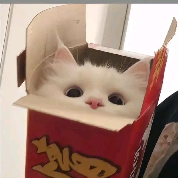 小᳐颖大王᳐੭ﾞ