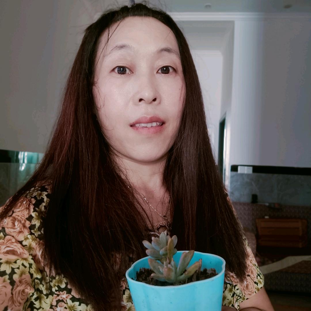 彩虹姐