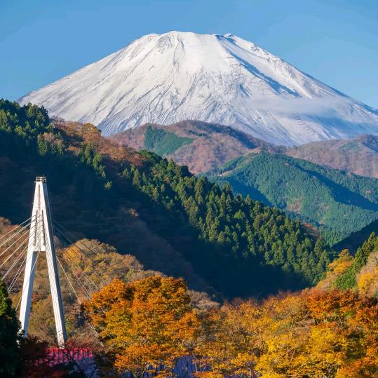 倾城天宇