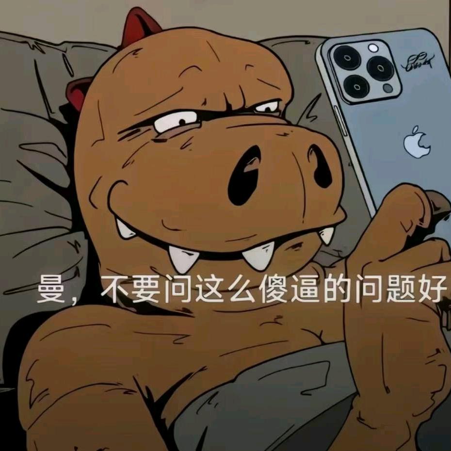 芷蒙齐齐