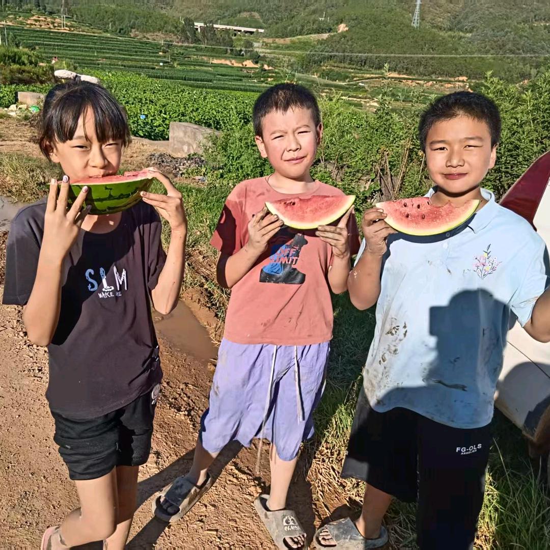 鹿鹿在老家