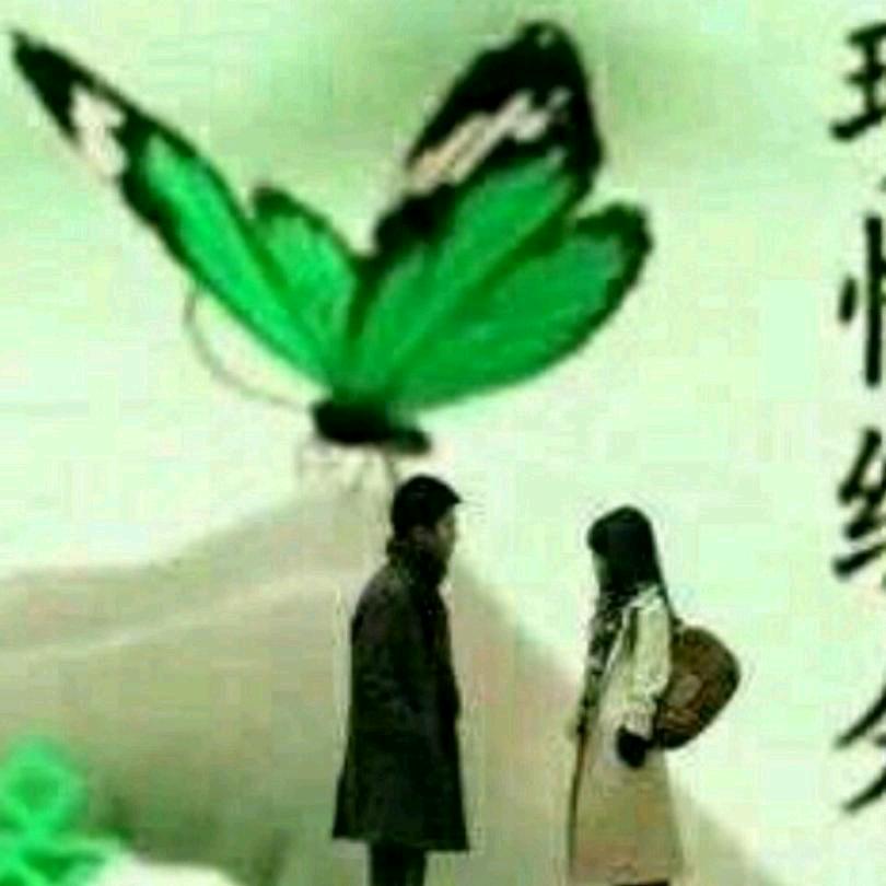 🔥被愛情遗忘的角落🔥