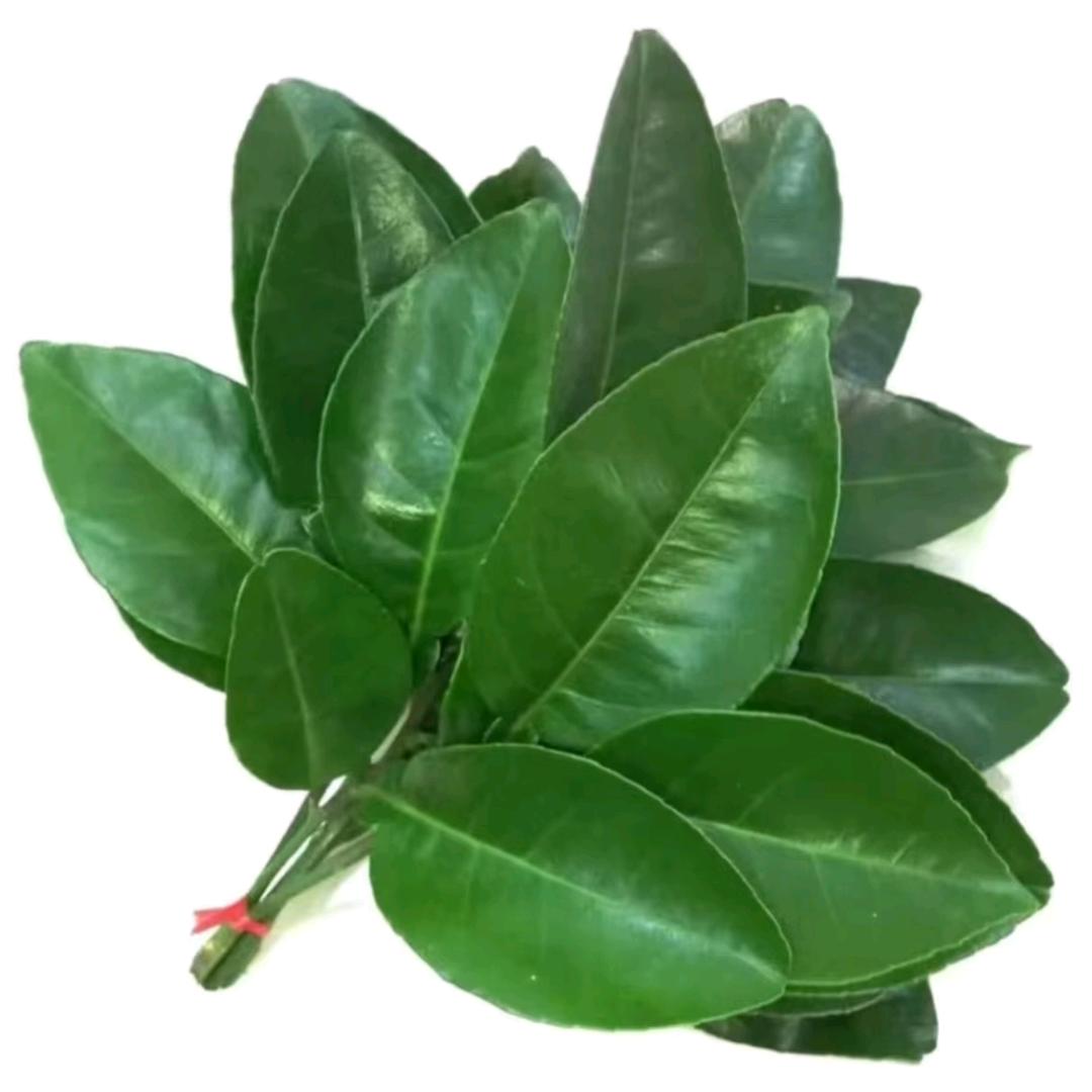 海体大游泳馆希尔顿店（佳佳）