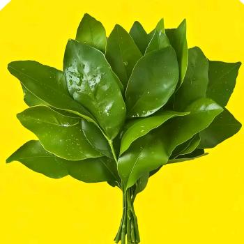 心态好一切都好