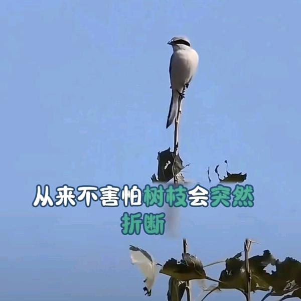 爱自己🍀
