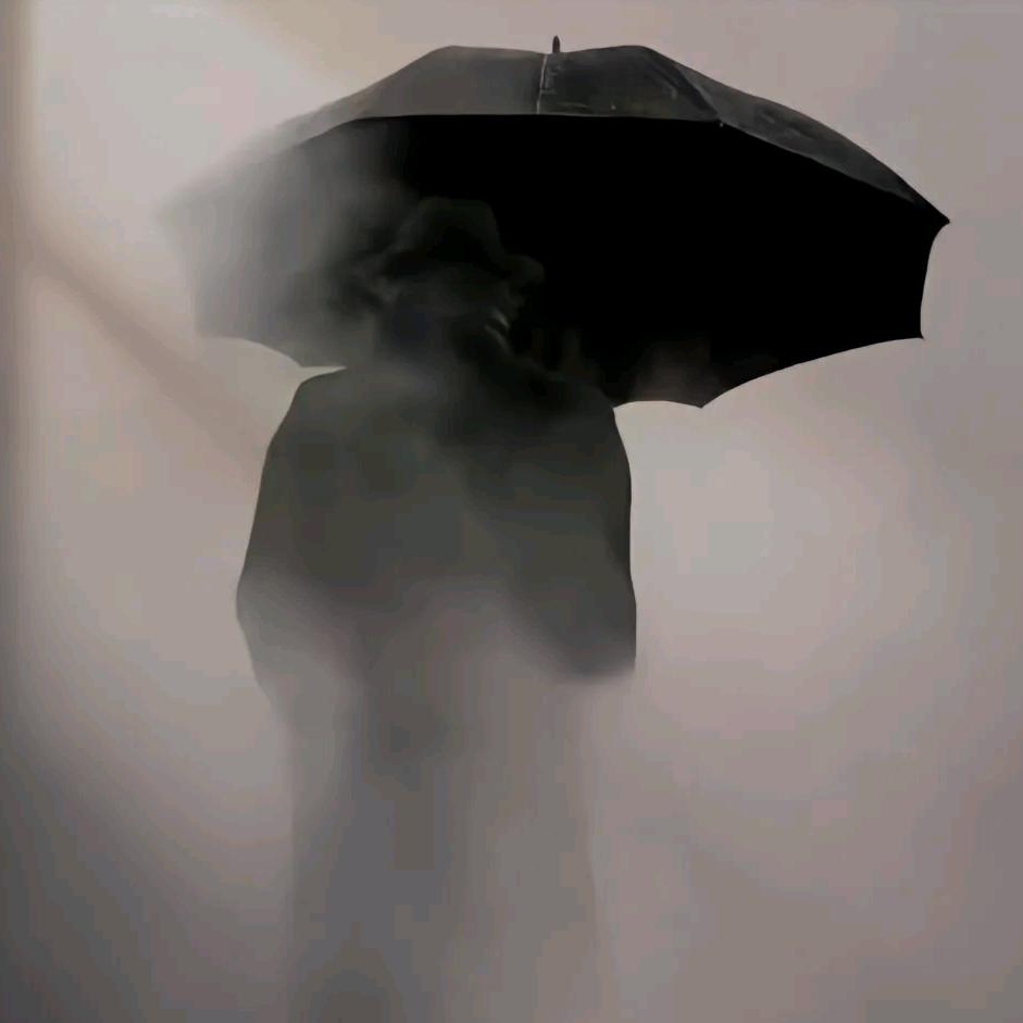 A.畅远数码创始人 飞飞📱