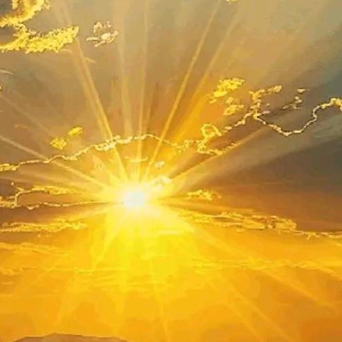 折耳根吃不饱。