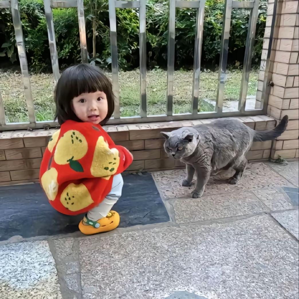 我喜欢巧克力