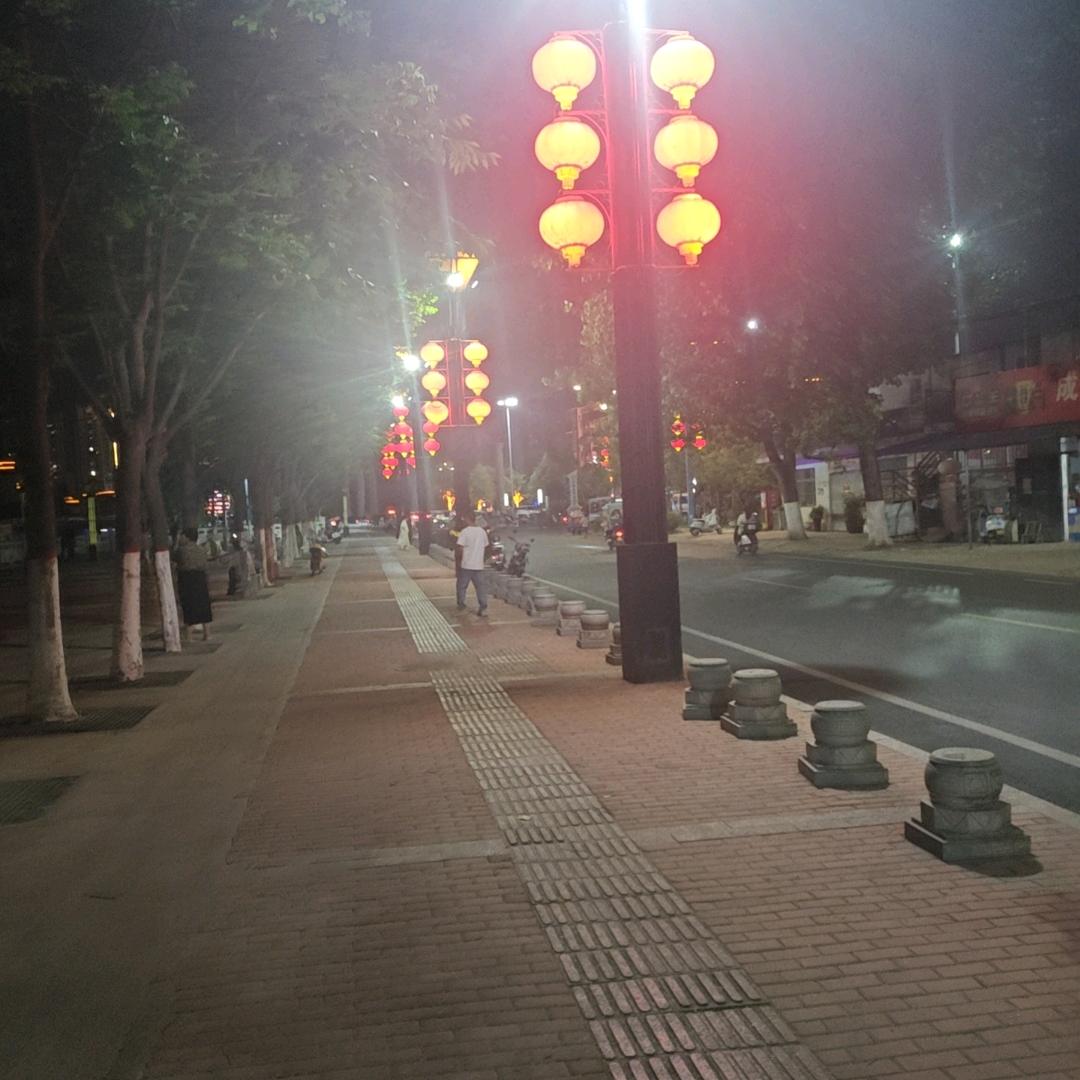 南阳玫瑰哥
