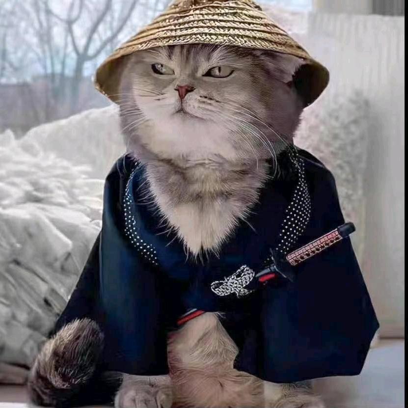 雨夜（燕云十六声）