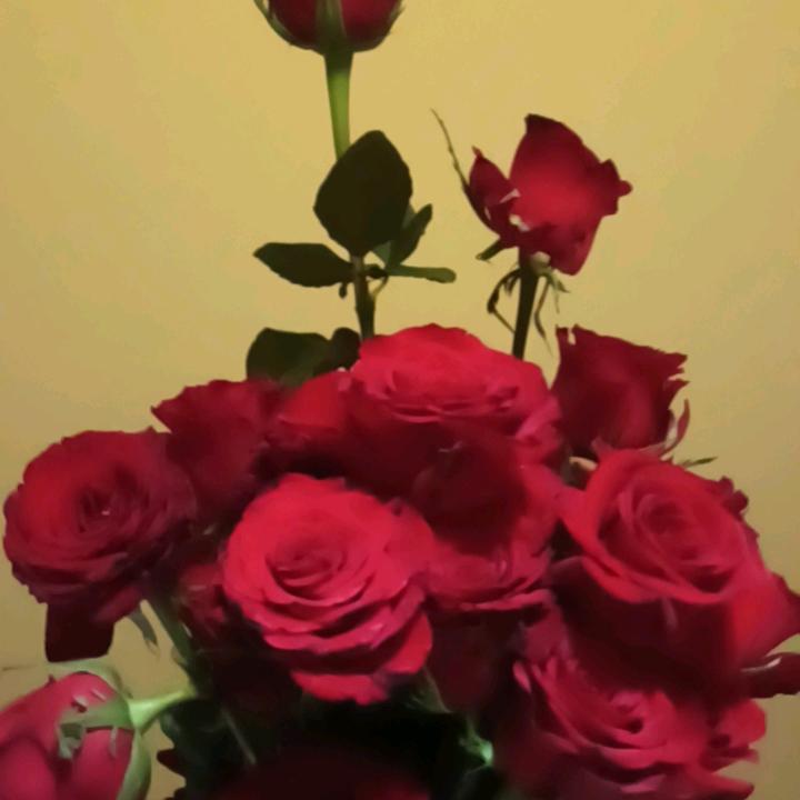 小白象养老护理