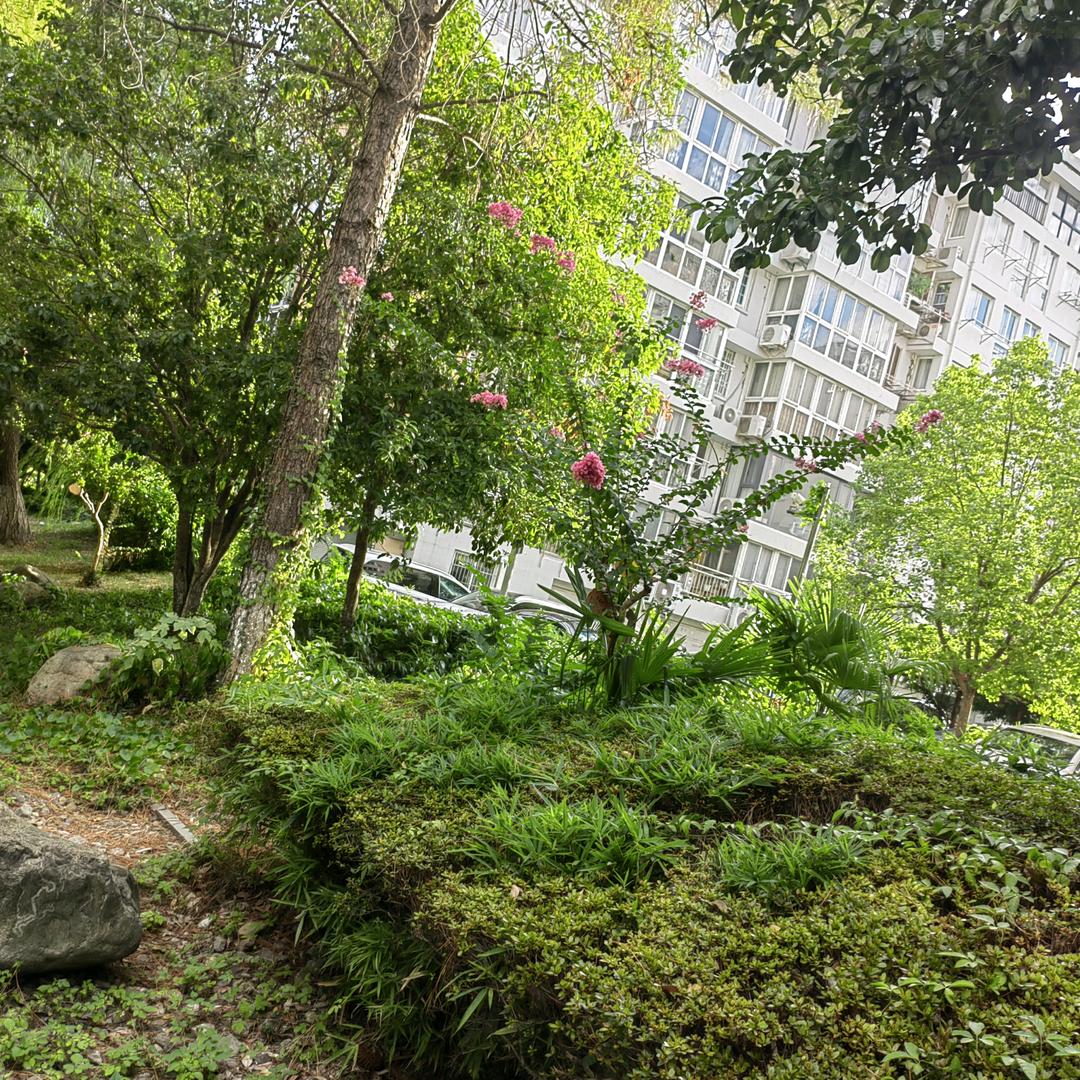 大世界海鲜依宁商贸