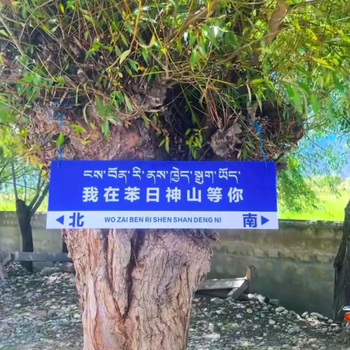 💞开心男人