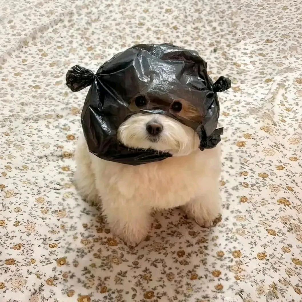 内向拒绝说话
