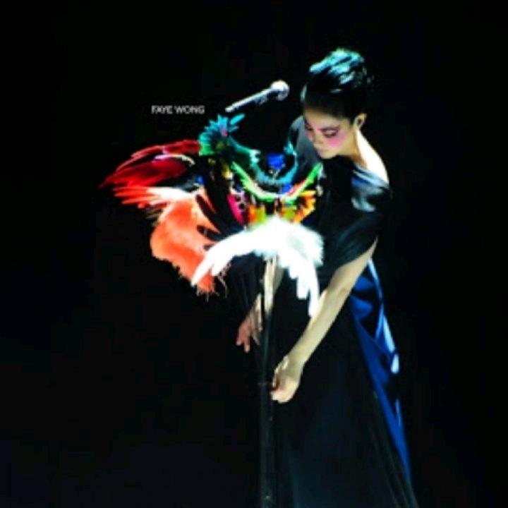 🌸小白羊🐾菲迷