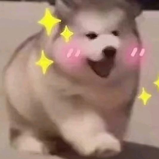年年十个亿头像