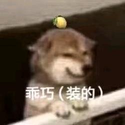 欣风哒