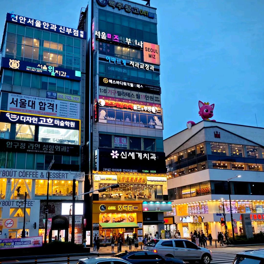 直播回放5