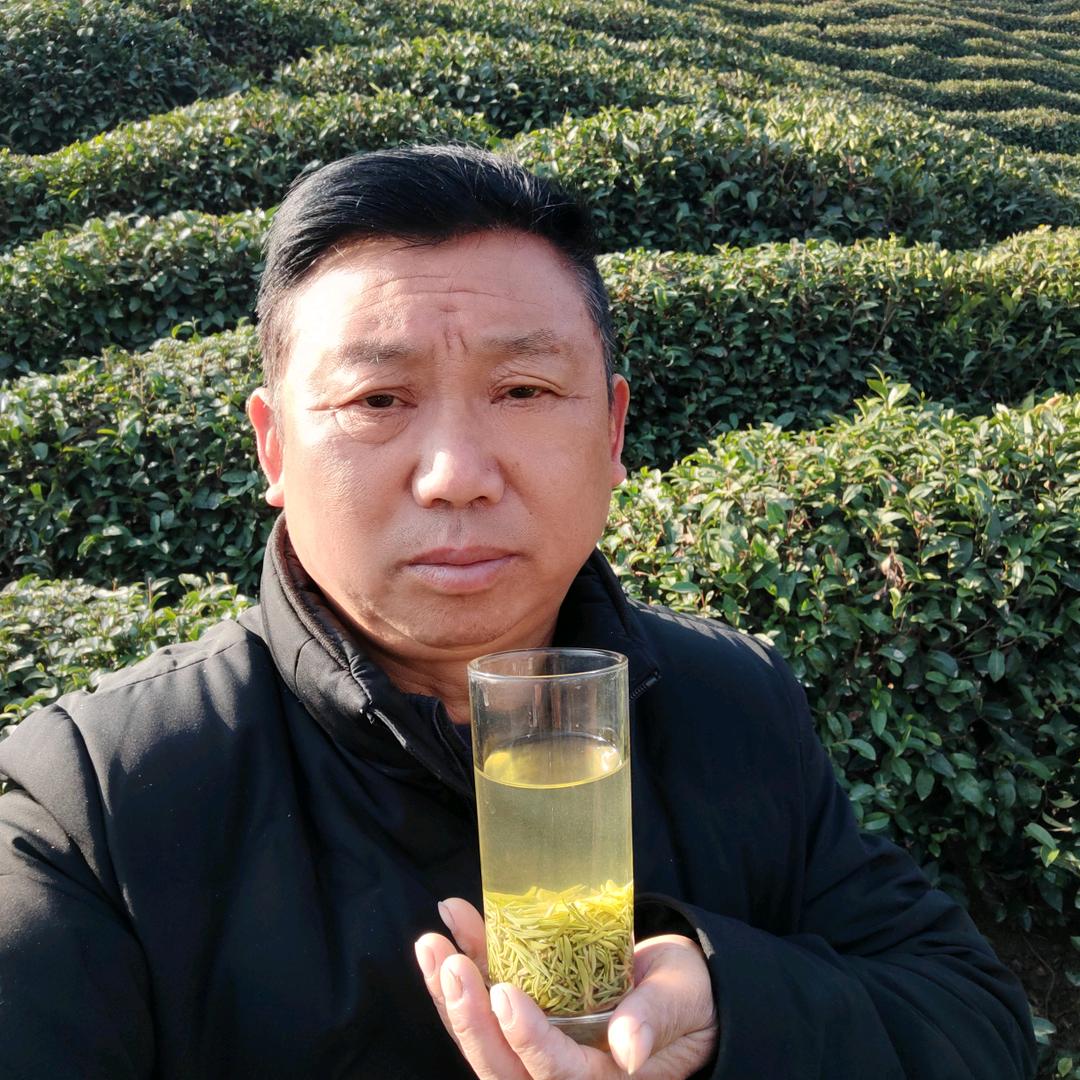 继远哥（信阳毛尖）
