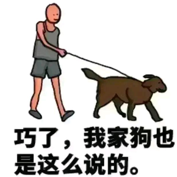 放羊娃