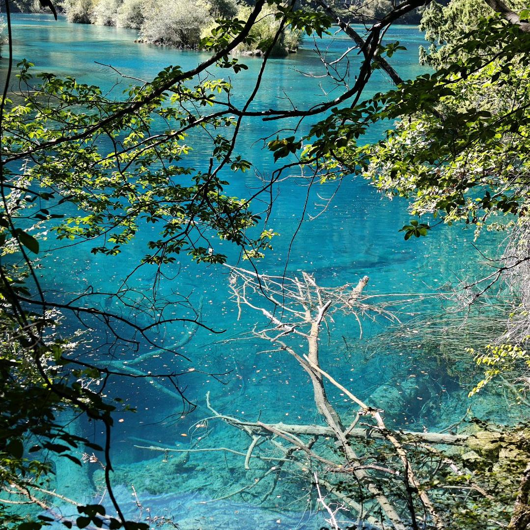 哈哈哈哈哈哈哈哈