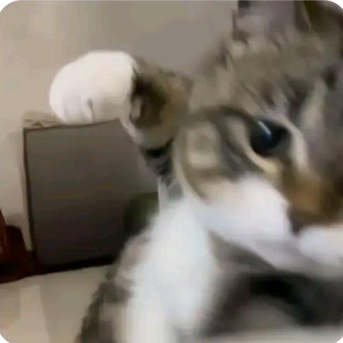 吃我一记蓄意轰拳