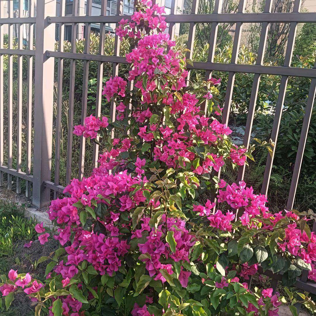 慧慧姐